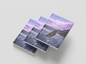 Couverture rigide du livre documentaire auto édité AOTEAROA